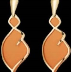 Burnt orange dangling earrings with a touch of gold