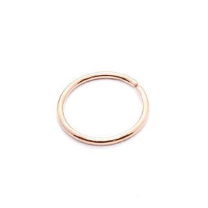 Hoop nose rings