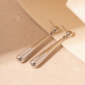 Silver Drop Down Steel Earrings